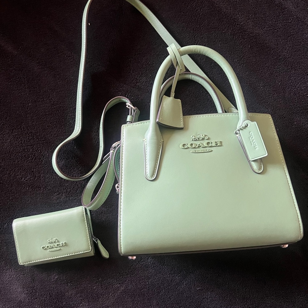 Coach Green Mini Bag with Detachable Strap